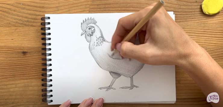 Рисуем Курица