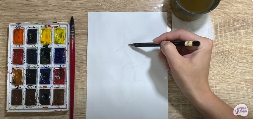Рисуем Эвкалипт