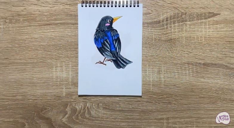 Рисуем Ворона