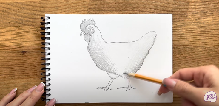 Рисуем Курица