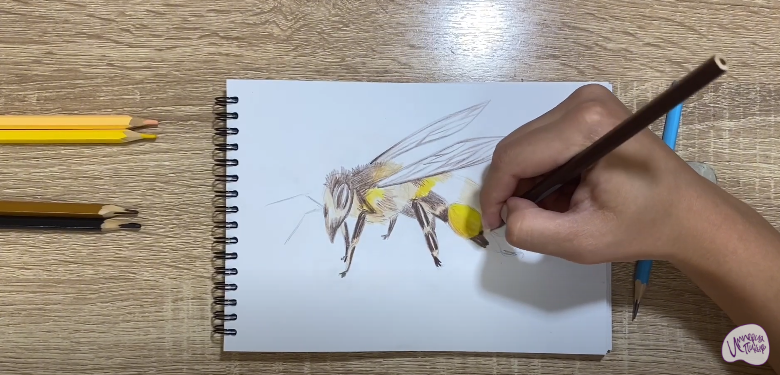 Рисуем Пчела
