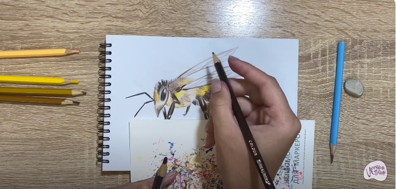 Рисуем Пчела