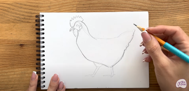 Рисуем Курица