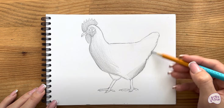 Рисуем Курица