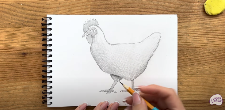 Рисуем Курица