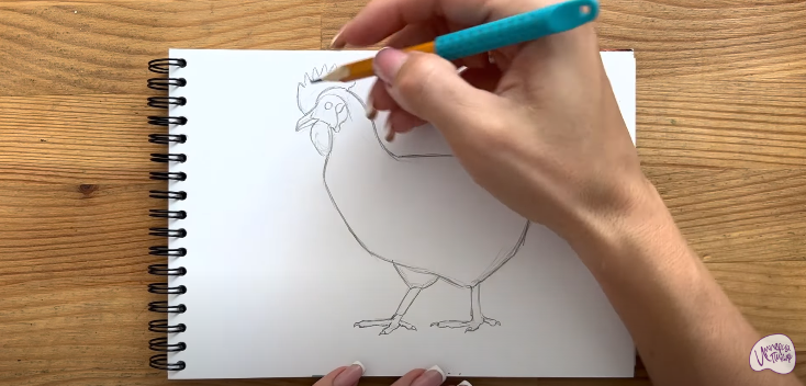 Рисуем Курица