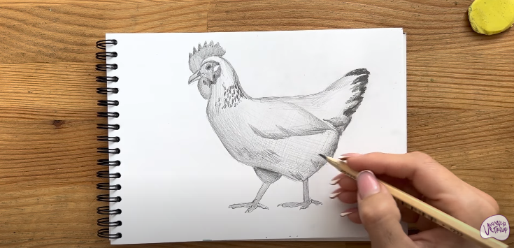 Рисуем Курица