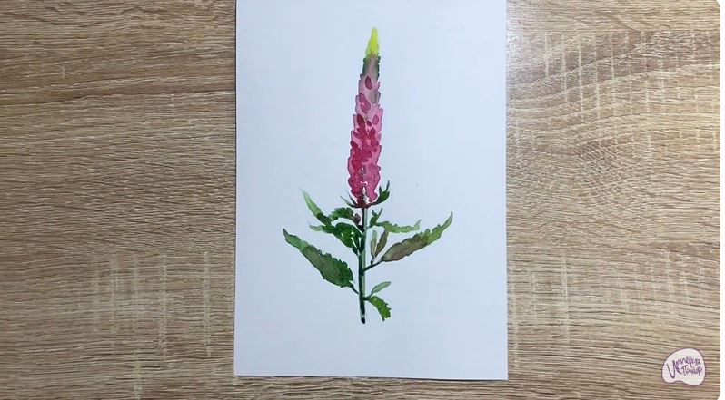 Рисуем Цветок "Вероника"