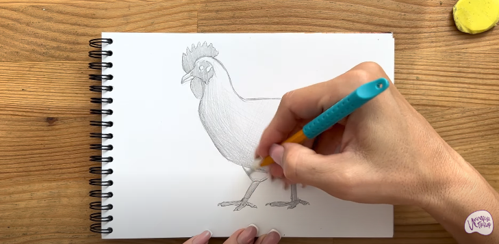 Рисуем Курица