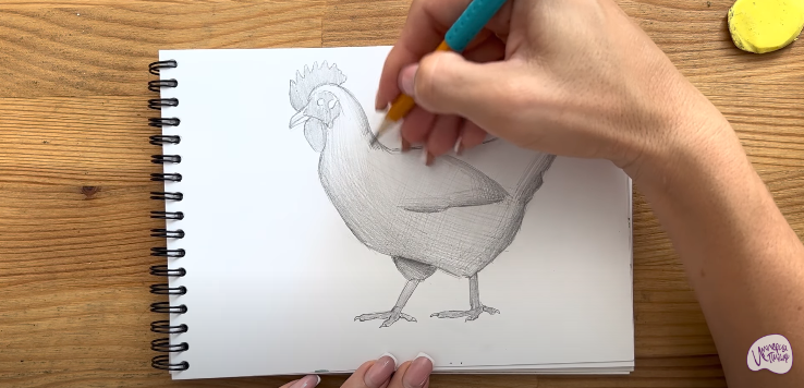 Рисуем Курица