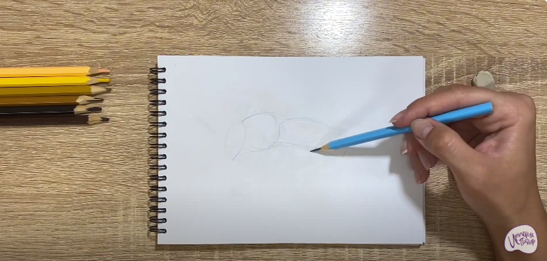 Рисуем Пчела