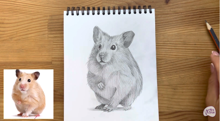 Рисуем Хомяк