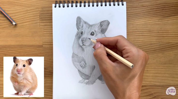 Как нарисовать хомяка карандашом поэтапно — 3 рисунка для начинающих