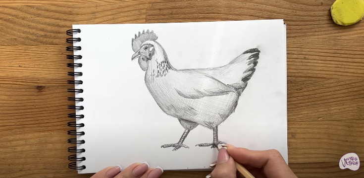 Рисуем Курица