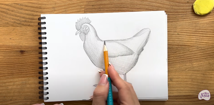 Рисуем Курица