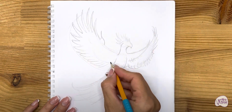 Техника рисования птиц детьми. Как нарисовать птицу