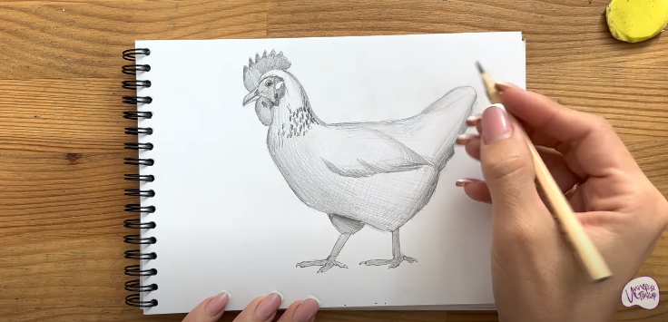 Рисуем Курица