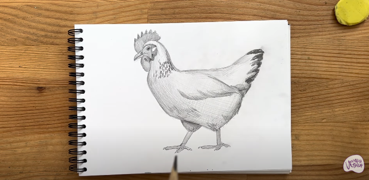 Рисуем Курица