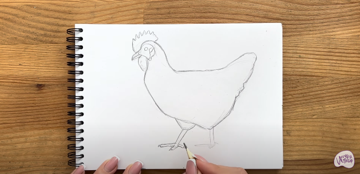 Рисуем Курица