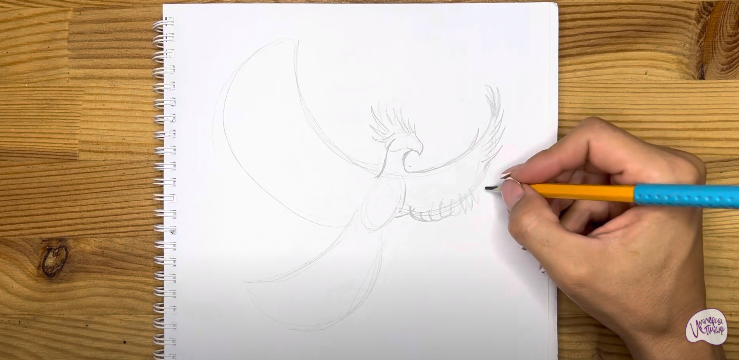 Как нарисовать птицу поэтапно карандашом - легкие мастер-классы для начинающих