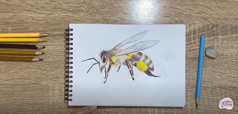 Рисуем Пчела