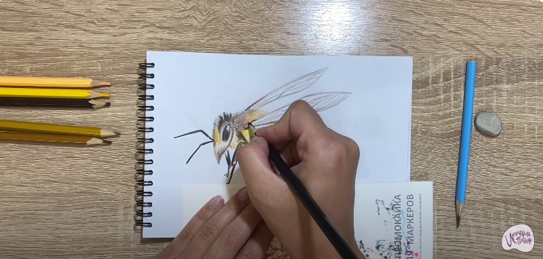 Рисуем Пчела