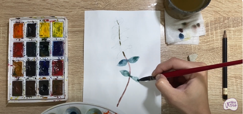 Рисуем Эвкалипт