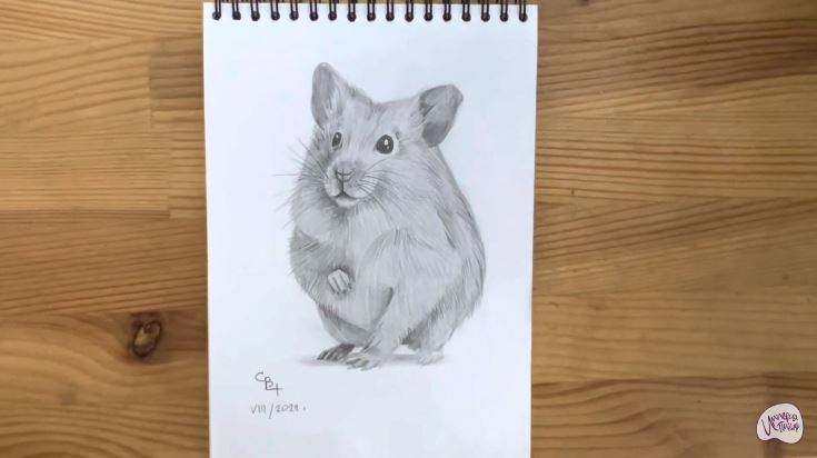 Рисуем Хомяк Рисуем Хомяк