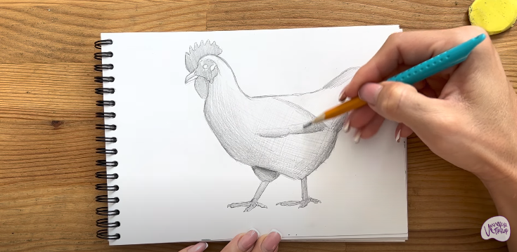 Рисуем Курица