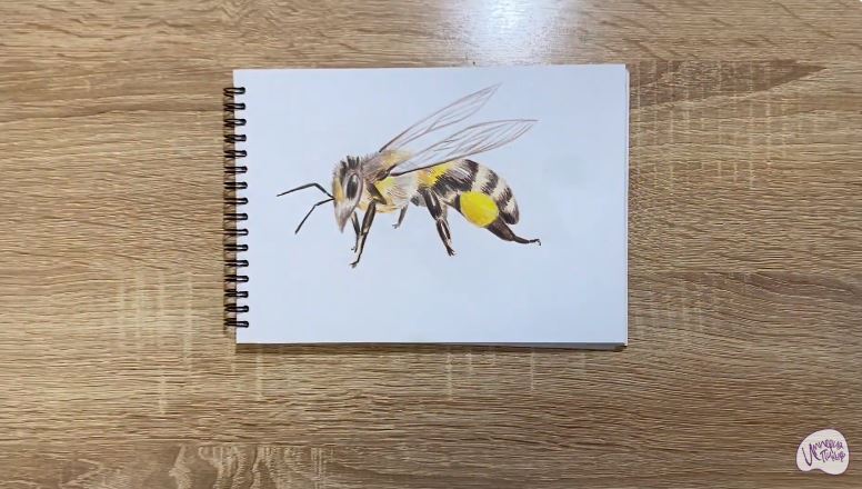 Рисуем Пчела