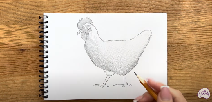 Рисуем Курица