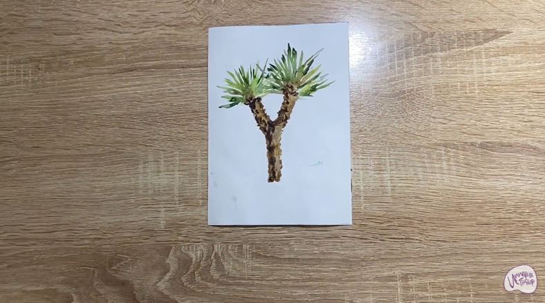 Рисуем Юкка