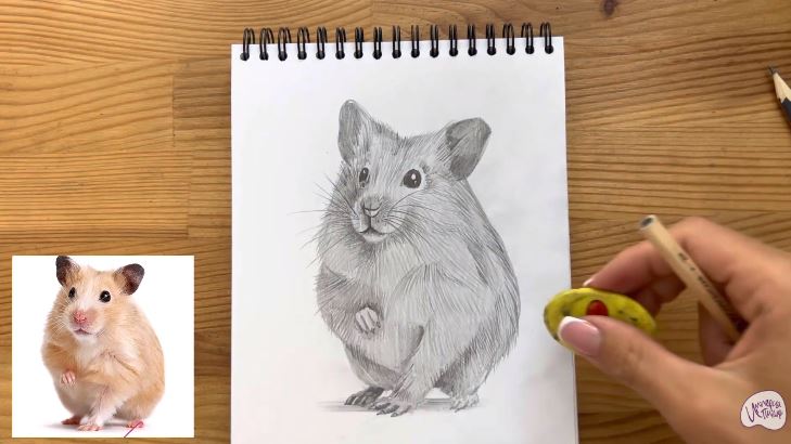 Рисуем Хомяк