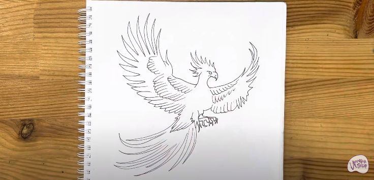 Рисуем Феникс