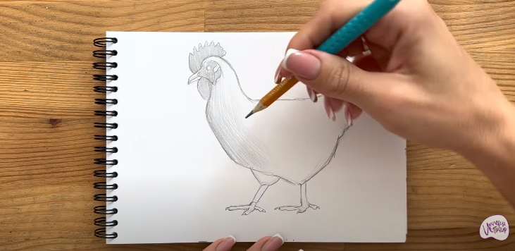 Рисуем Курица