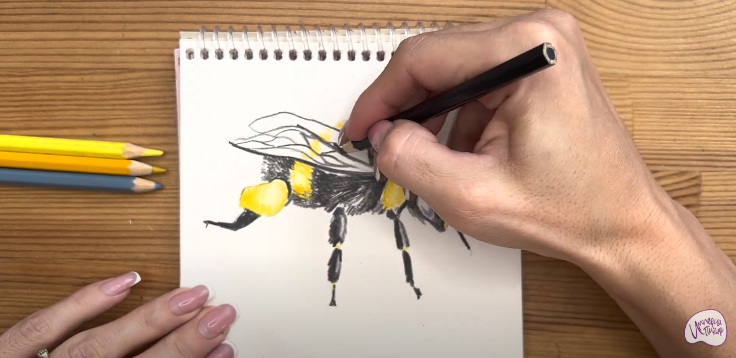 Как нарисовать шмеля карандашом поэтапно