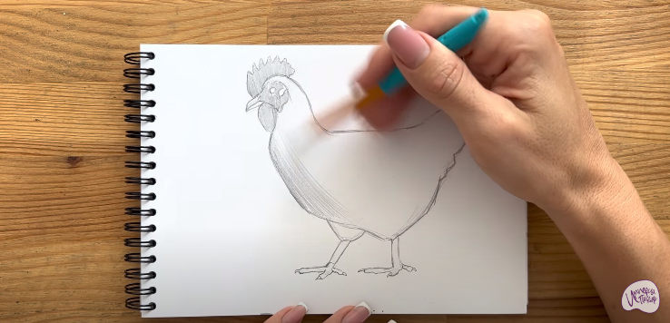 Рисуем Курица