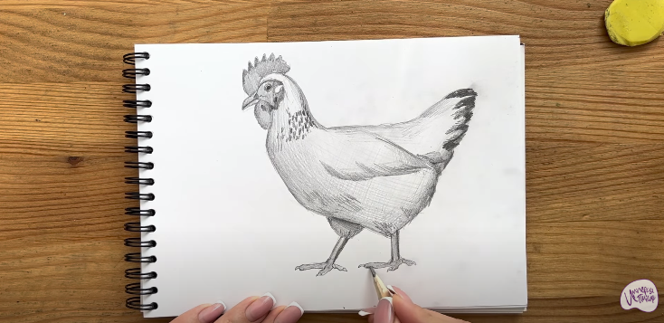 Рисуем Курица