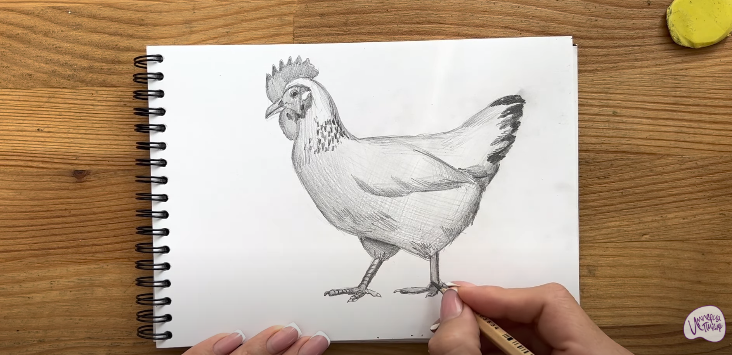 Рисуем Курица