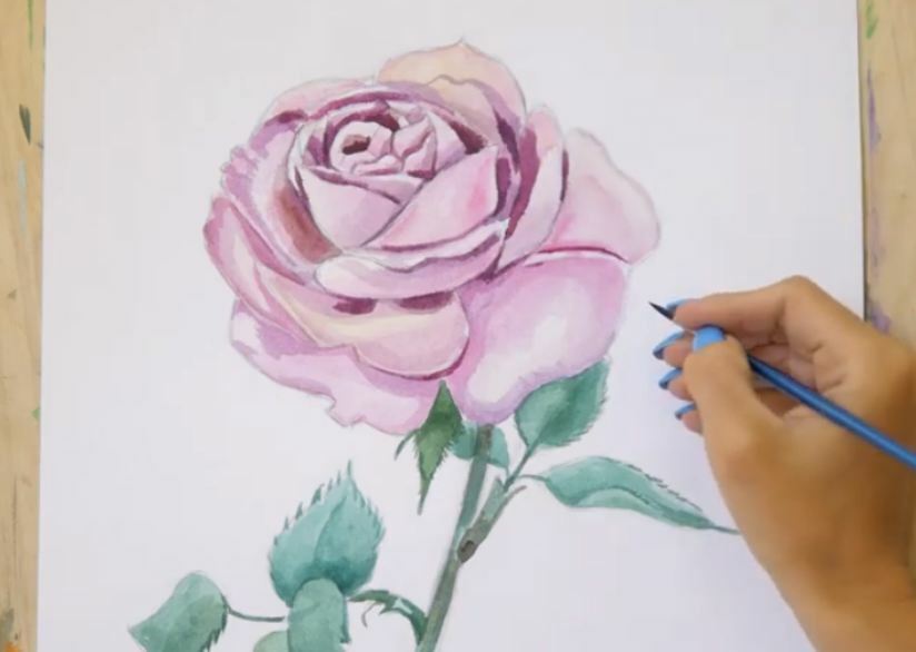 Рисуем Роза акварелью