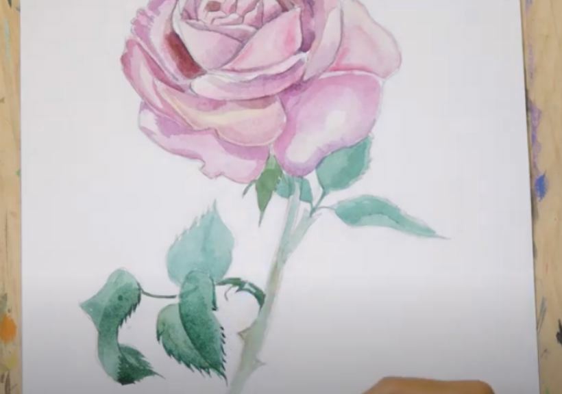 Рисуем Роза акварелью
