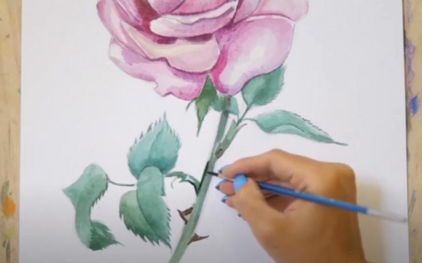 Рисуем Роза акварелью