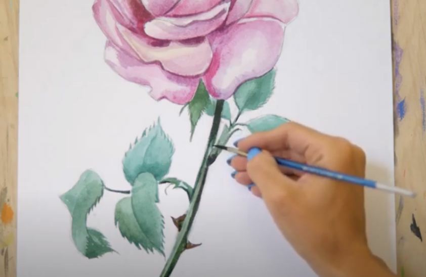 Рисуем Роза акварелью