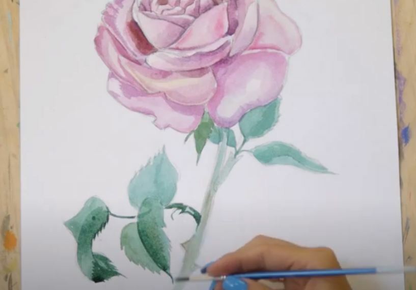 Рисуем Роза акварелью