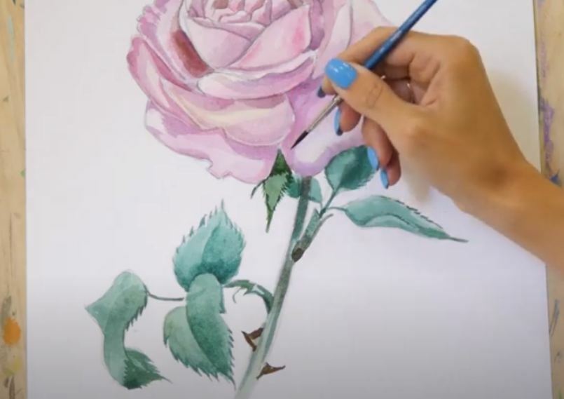 Рисуем Роза акварелью