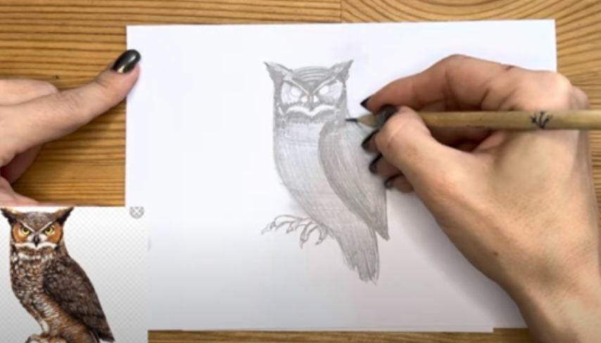 Как нарисовать сову - поэтапная инструкция для начинающих