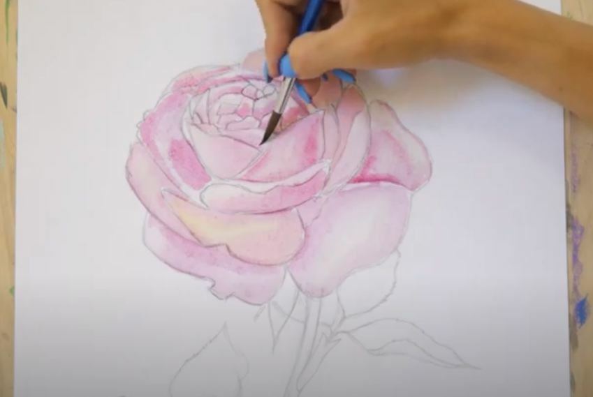 Рисуем Роза акварелью