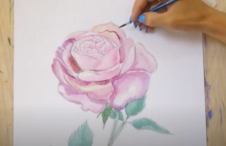 Рисуем Роза акварелью