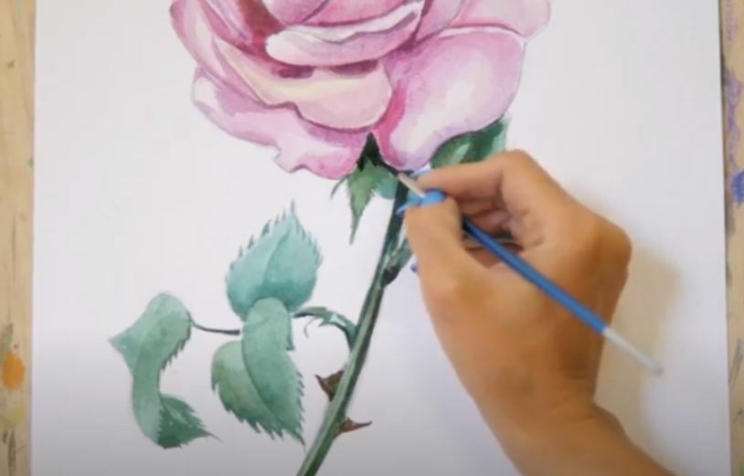 Рисуем Роза акварелью
