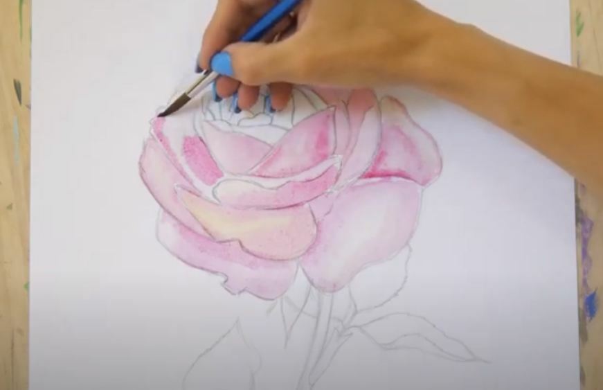 Рисуем Роза акварелью